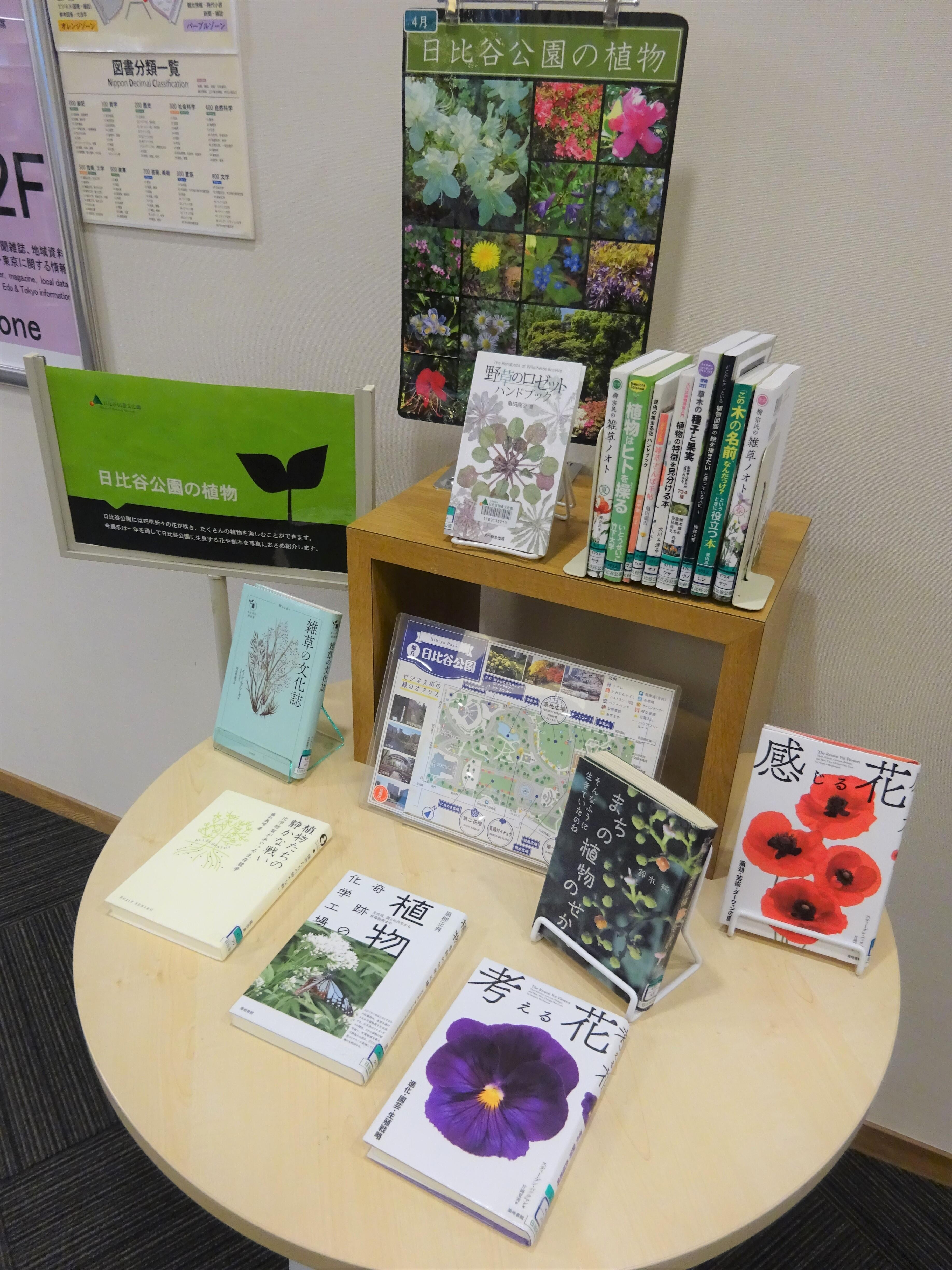 「日比谷公園の植物」展示の様子1