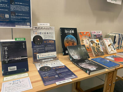 展示の様子