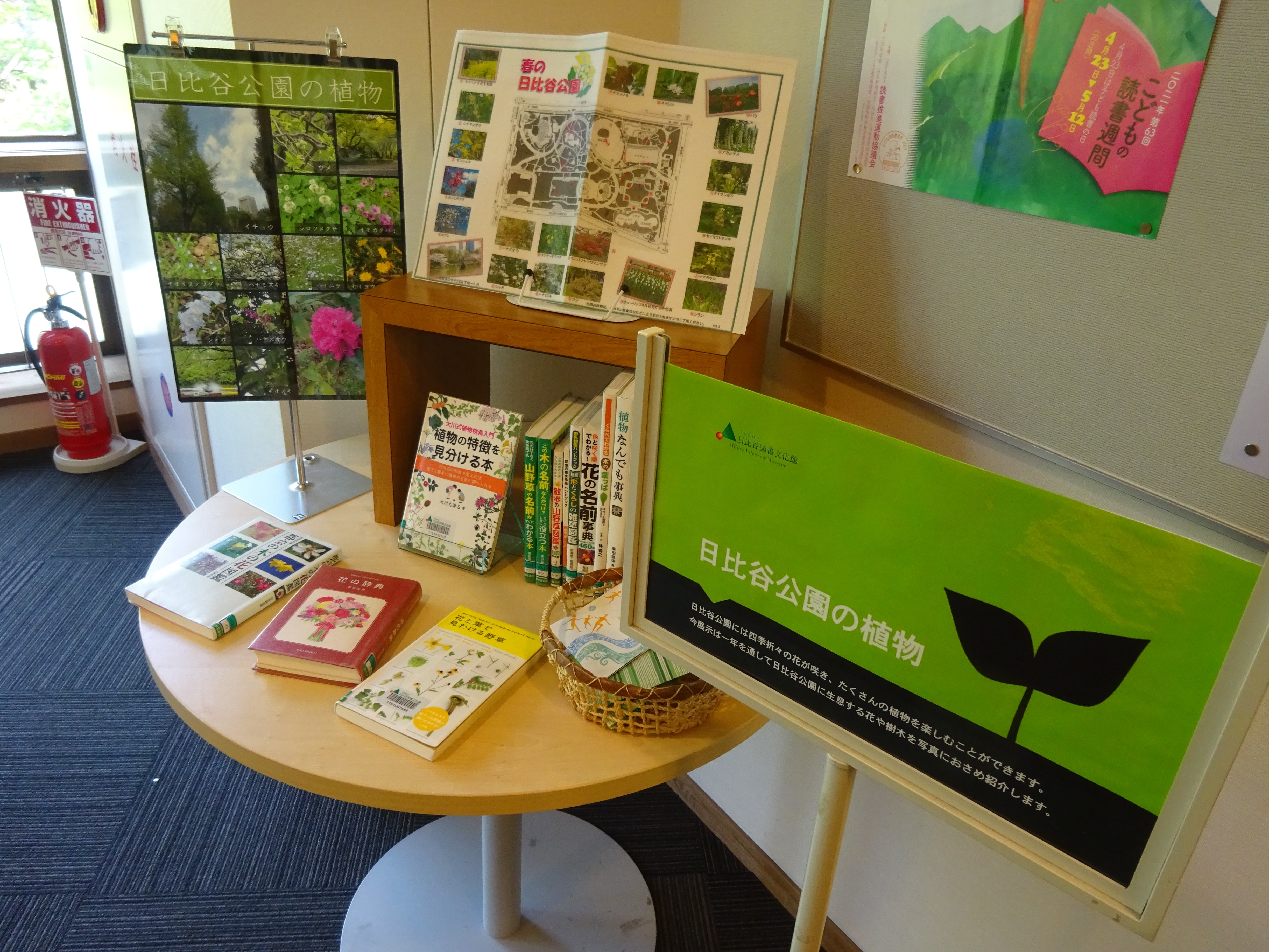 「日比谷公園の植物」展示の様子1