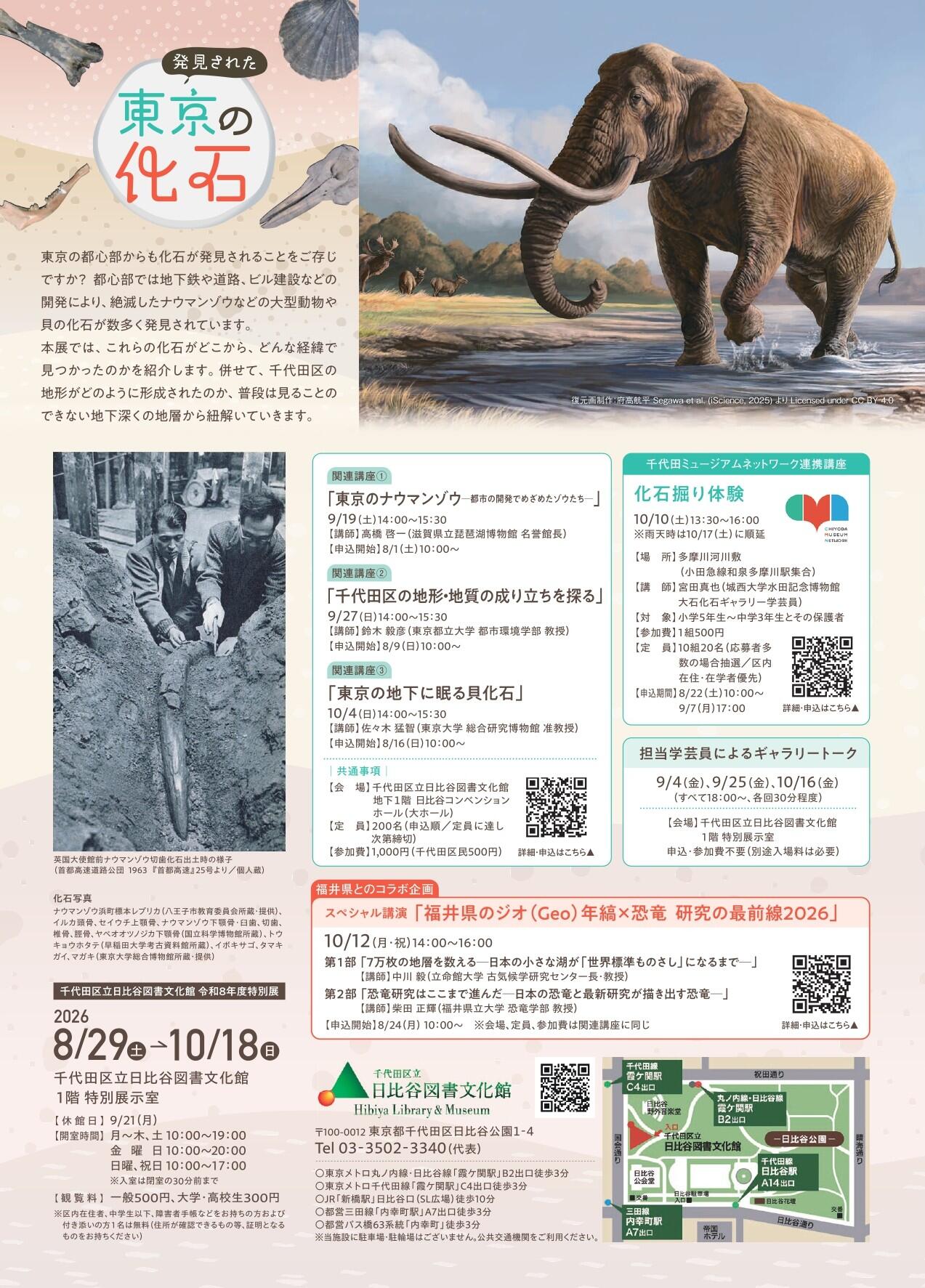 東京の化石_チラシA4-ウラ.jpg
